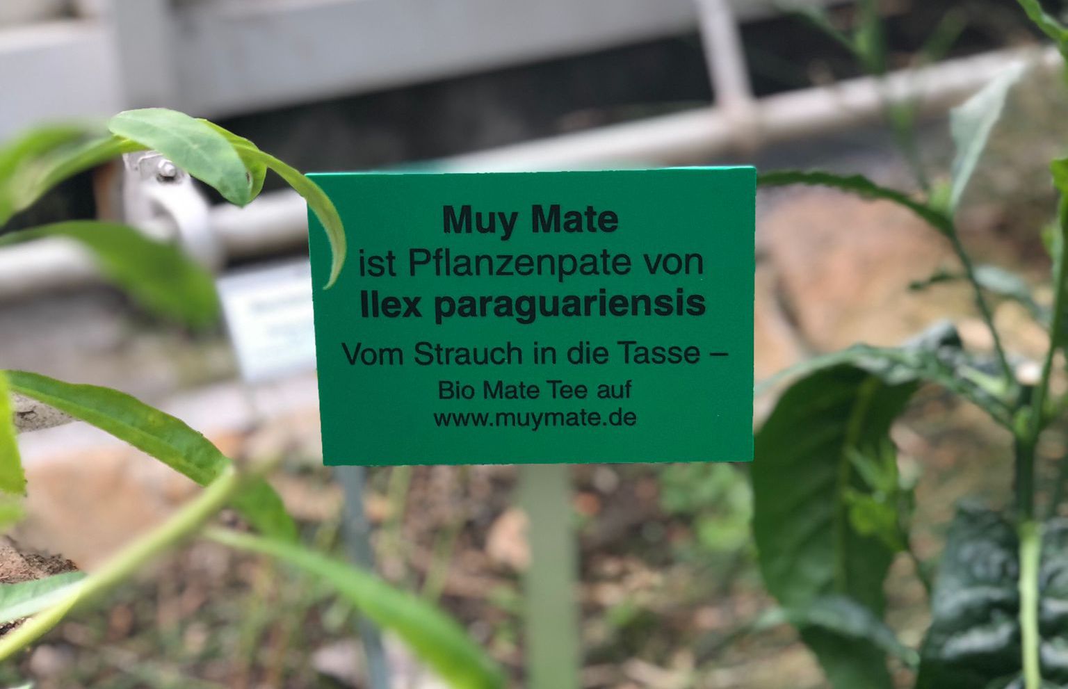 Mate Patenschaft Botanischer Garten Berlin 1 1